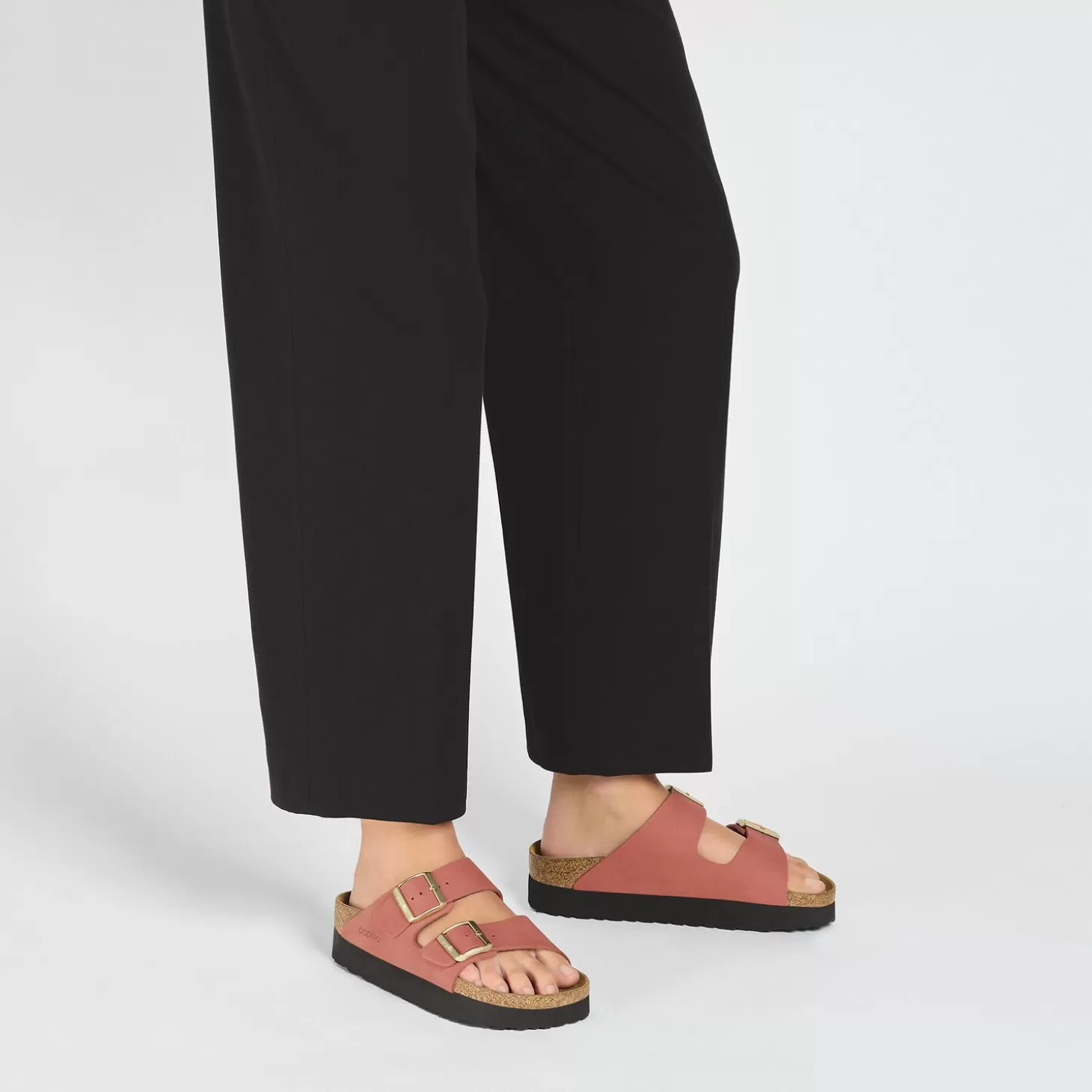 New Arizona Dames Plateau