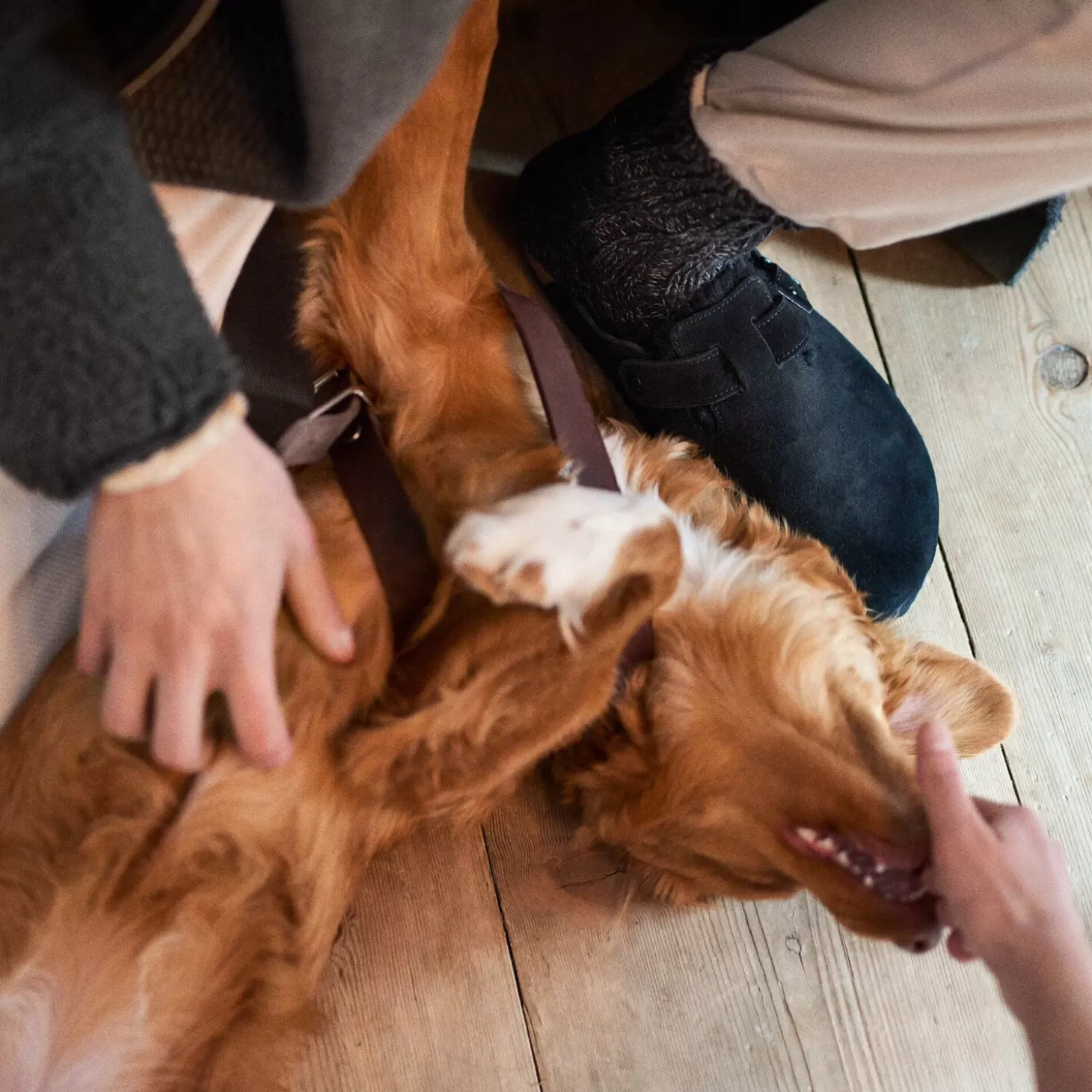 boston_lamsvel_9.webp Outlet Boston Lamsvel Heren Klompen En Muilen